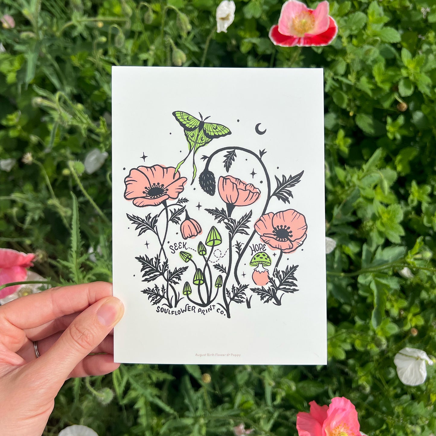 Postcard | August Birth Flower | Seek Hope