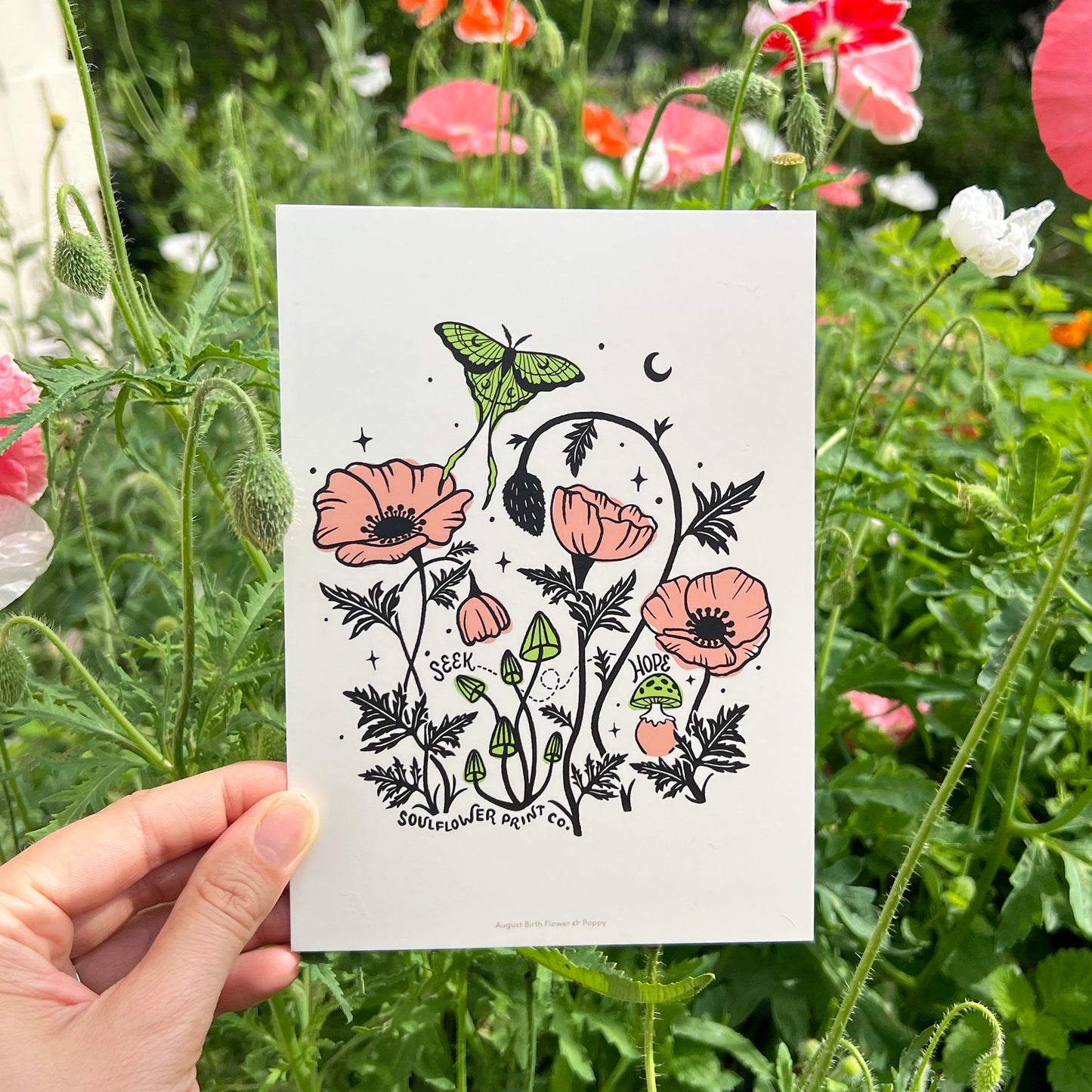 Postcard | August Birth Flower | Seek Hope