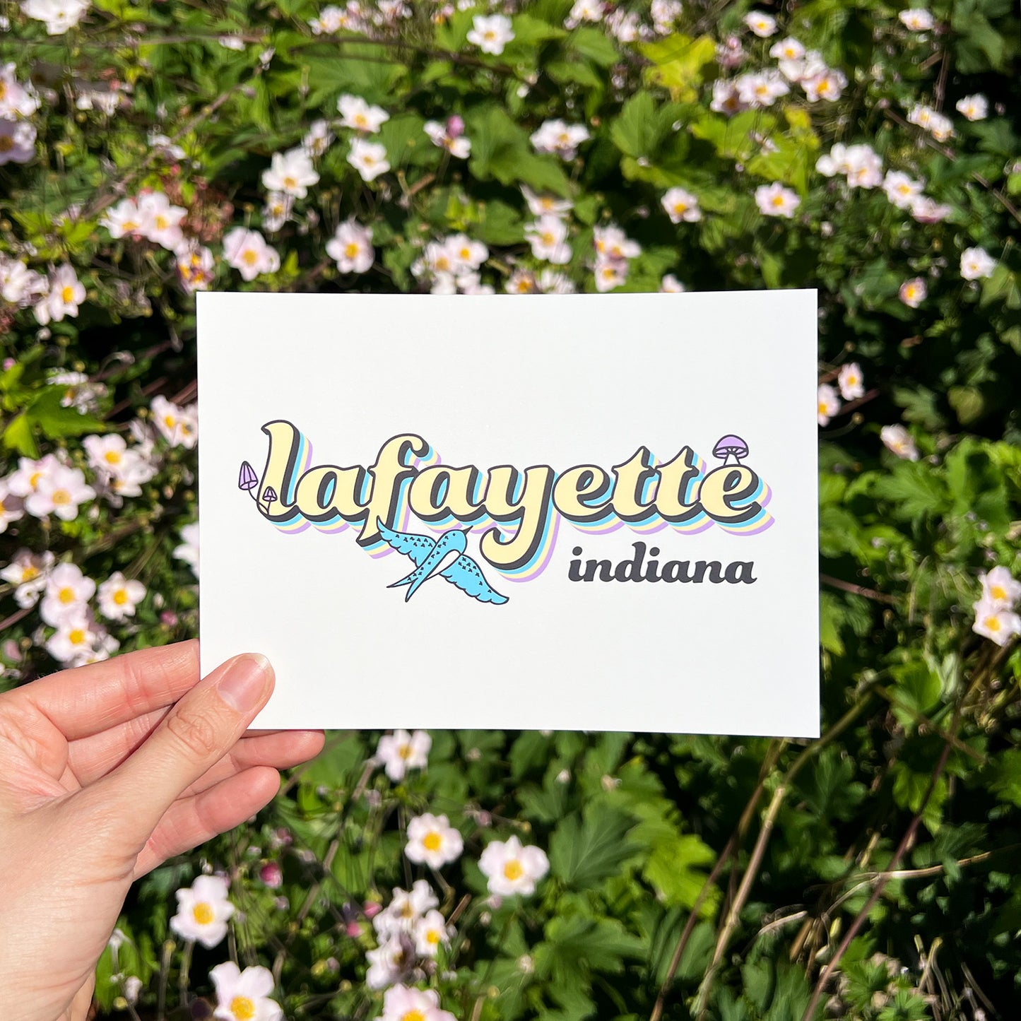 Postcard | Lafayette
