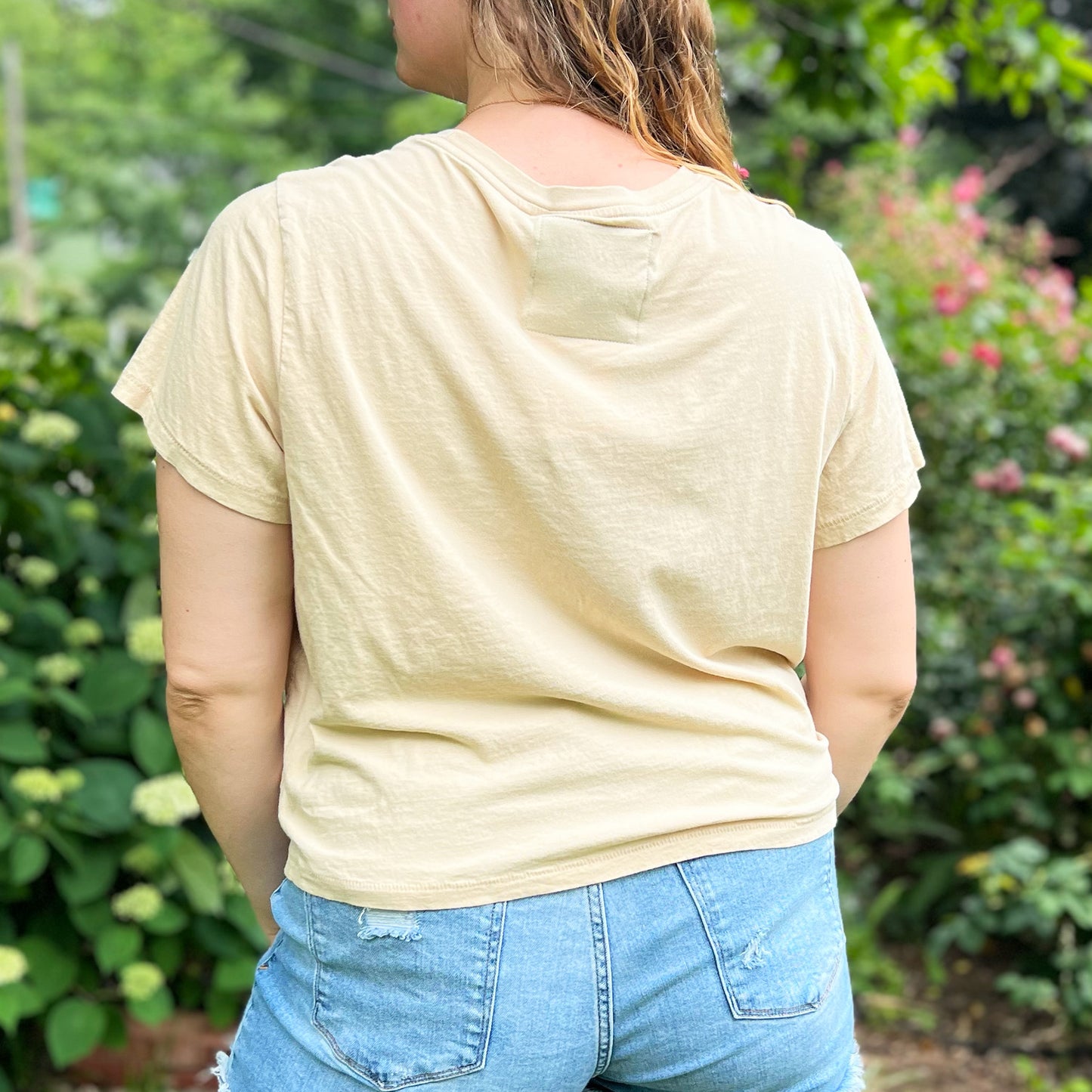 National Parks | Cream Tee | 2X