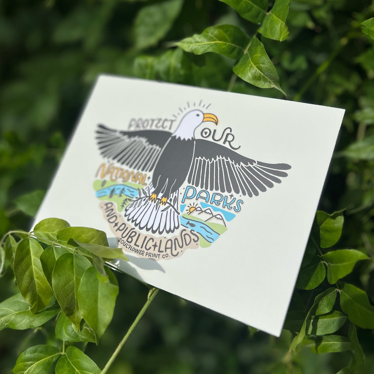 Postcard | National Parks