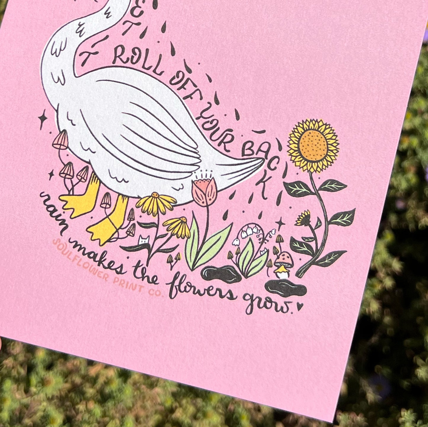 Postcard | Unbothered Duck