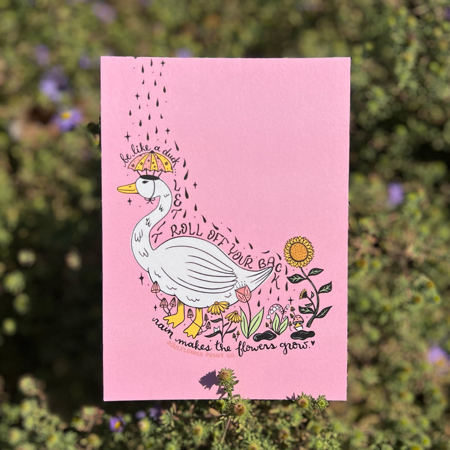 Postcard | Unbothered Duck