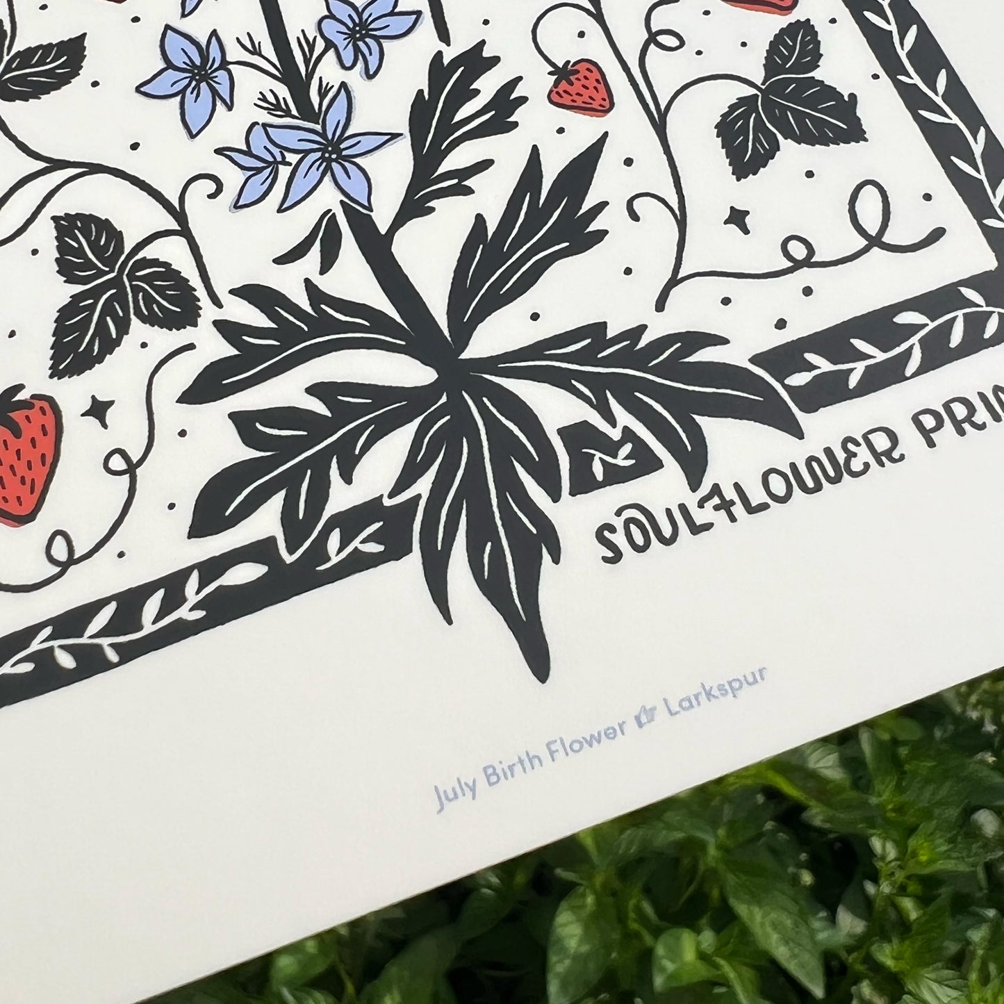 Postcard | July Birth Flower | Larkspur