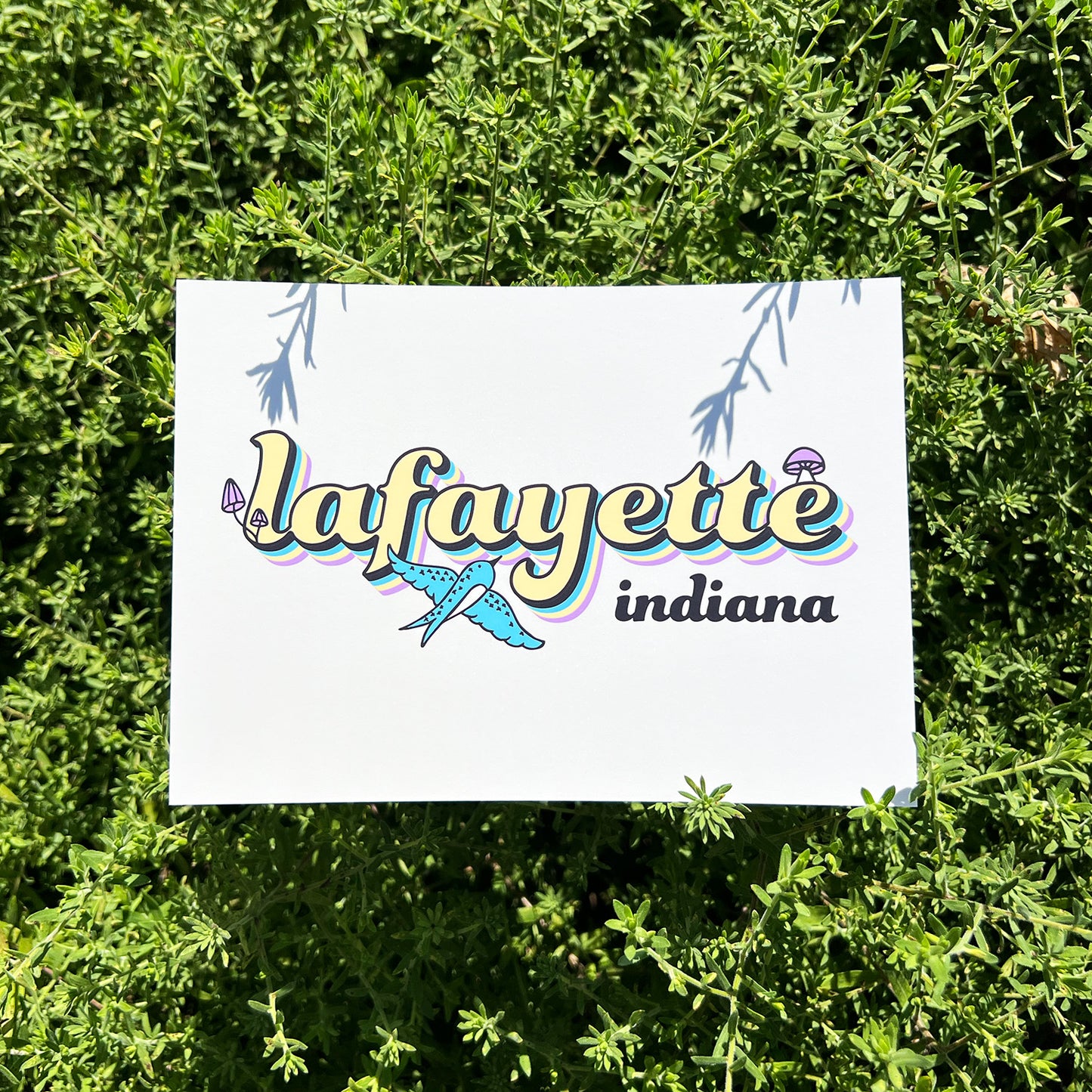 Postcard | Lafayette